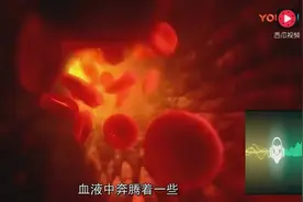 原来血管是这样被修复的，涨知识了
