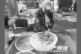 沈阳虾爬子上市 尝鲜价高昂图片