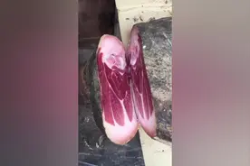 大街上买的陈年火腿30一斤，切开一看才知道真的值视频封面