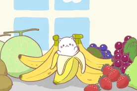 动漫资讯：香蕉x猫图片