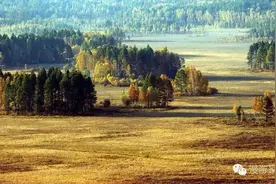 翦伯赞：历史的后院图片