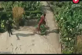 这个女人长着一双怪兽脚：不过威力挺猛啊