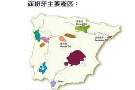 葡萄酒小知识-西班牙葡萄酒图片