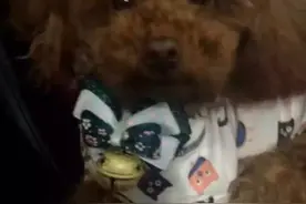 丝带的别样用法 只要你手巧 就能做出图片