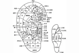 中医基础：常用耳穴定位和主治图片