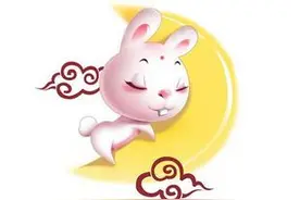 吹毛求疵，做事一丝不苟的生肖图片
