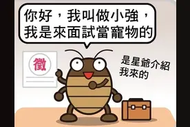 天然防虫妙招，蟑螂不再来！图片
