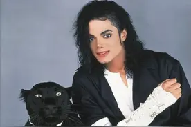 能成为国王迈克尔·杰克逊宠物的猩猩，该是上辈子修来的福气吧！图片