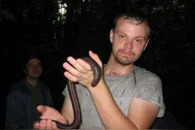 长达两米的世界最长最大蚯蚓，有点恐怖图片