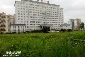 三天不见让人刮目相看，从浦北新城公园徒步至五仙湖图片