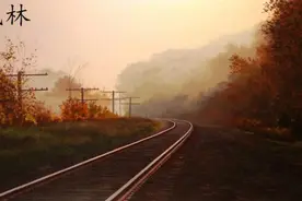 一曲《枫林》，无尽寂寥图片