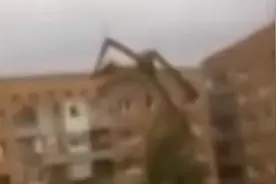 惊，拍到类似大型蜘蛛在墙上爬行，体型巨大图片