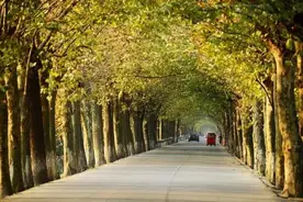 成都周边竟然隐藏着一个泰国图片