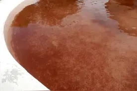 真相原来是这样！让你不可思议的怪异研究说图片