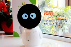 什么类型的机器人更具可塑性？是教育、陪伴亦或是其他？图片