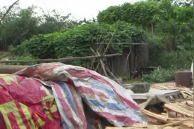 于荒野开荒种地居住 与世无争令城市人向往图片