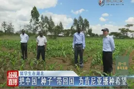 把中国“种子”带回国 为肯尼亚播种希望视频封面
