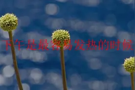 下午是最容易发热的时候