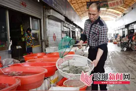 海货上市 尝鲜价高：一只母蟹80元 “身价”翻了番图片