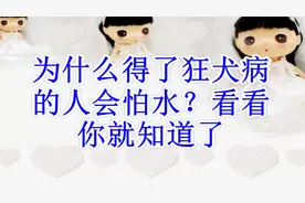 为什么得了狂犬病的人会怕水？看看你就知道了（速度收藏）