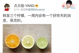柠檬居然是橙子杂交来的，贵圈真乱图片