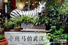 原来武汉最有名的是“个斑马”，现在终于有了“汉马”图片