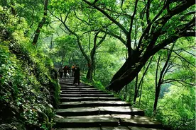 网友最想去的城市第一名！重庆成为“网红”靠的是啥子？图片