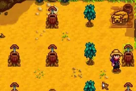 星露谷物语stardew valley松树怎么种 松树种子种植图片