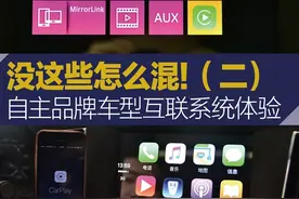 吉利/奇瑞/荣威/MG 自主品牌互联系统体验图片