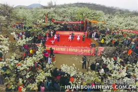 浪漫花院迎客来图片