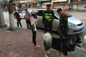 两宠物犬狭路相逢后撕咬起来 主人护狗被咬得鲜血直流图片