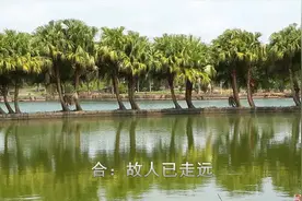 据说每个古风歌都有个故事，有兴趣的快来瞎掰视频封面