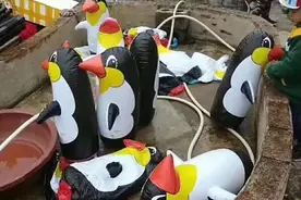 玉林“奇葩”动物园已关门歇业，动物园老板回应……图片