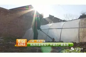 危房改造审批中 申请农户莫着急图片