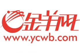 宣传绿色环保理念 孩子自制缤纷时尚环保袋图片