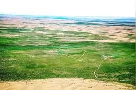 中国这项发明将改变世界，点沙成土，沙漠也能种水稻了