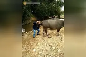 让你看看什么叫《吹牛逼》爆笑段子，睡觉别看，视频封面