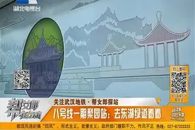 把东湖绿道放进地铁站，武汉地铁8号线有点小清新视频封面