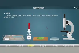 电脑模拟实验之观察叶片的结构视频封面