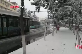 山东烟台持续降雪 或有暴雪天气视频封面