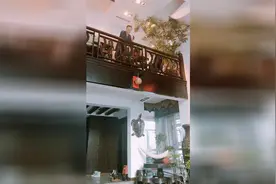 斯卡拉老板姜鹏逗猫视频封面