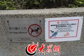 从香港控烟和路口秩序看铁腕治理倒逼城市文明图片