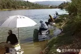 钓技:菜鸟钓鱼人常见问题解答图片