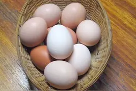 同一只鸡竟能生出不同颜色的鸡蛋,为你揭开鸡蛋颜色背后的秘密！图片