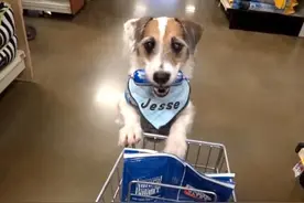 童年回忆向：小时候跟大人逛超市的你....图片