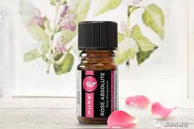 玫瑰精油对于人体的八大妙用，用过的人都爱不释手！图片