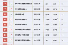 透明的未来：2017中国最透明慈善公益基金会排行榜发布图片