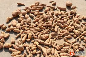 这么多好恰的土货，简直太幸福了，别拦我，这个周末我要回农村！图片