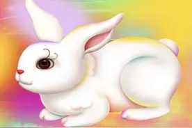 属兔人一生最克谁？说出来能吓你一跳，看如何避免？图片