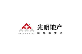 光明地产：卖子求生？图片